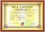 Cattery of British short-haired cats "WOOL SPIRIT" was officially registered in the WCF, in Germany.