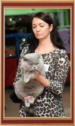 8 and 9 December 2012, we took part in the next International Cat Show "Cup of the White City" on system WCF.