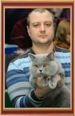 International Cat Show "Snow-white miracle" in Dnipropetrovsk January 26-27, our cat Janik was the best shorthaired cat exhibition, taking 2th place in the competition Best of Best, 2th and 7th place in the ring WCF-Adult and opened Grand International Champion title.
