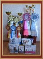 At the jubilee exhibition devoted to the 5th anniversary of the club "Cats Belogorya" held March 2-3 in Belgorod, our cat Yannik was the best shorthaired cat exhibition, won 1st and 2nd place in the competition Best of Best, and closed the title Grand international champion.