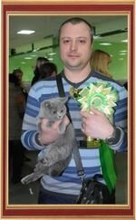 At the International Cat Show April 27-28 in Belgorod, our young cat Beatrice Wool Spirit became the best kitten show.