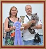 Another our traveling Cat Show, which took place in the glorious hero city Sevastopol, on which our cat Yanik became Champion of Europe and opened the Great European Champion title.