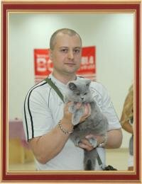 Международная выставка кошек 28-29 мая 2011 г., г. Белгород.