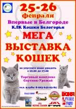 25-26 февраля в Белгороде прошла крупная выставка кошек. Наша кошка Люси стала лицом этой выставки на рекламных афишах.