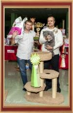 We took part in the International Cat Show September 29-30, "The Cup of the White City", WCF in champion class.
