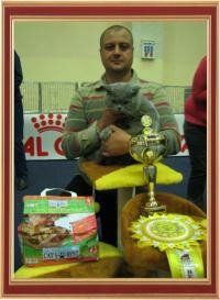 International Cats Show on September 15-16, 2012, the International Championship "Master CAT", the cup "Royal Canin" Kharkiv (Ukraine).