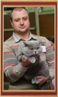 International Cats Show on March 2-3, 2013, Belgorod.