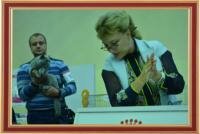 International Cat Show 14-15 September 2013, an international championship "Master CAT", Kharkiv (Ukraine).