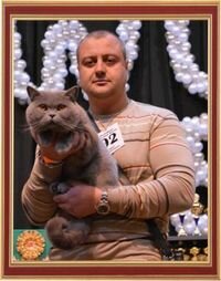 World Cat Show 5-6 October 2013 "WCF SilverJubilee - 25 Years Anniversary", Dnepropetrovsk, Ukraine.